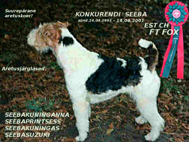 Seeba