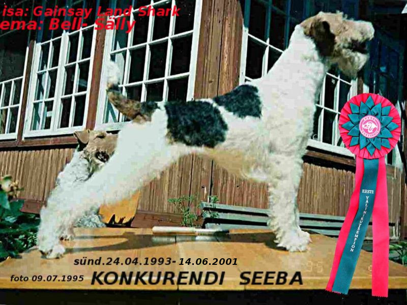 Seeba