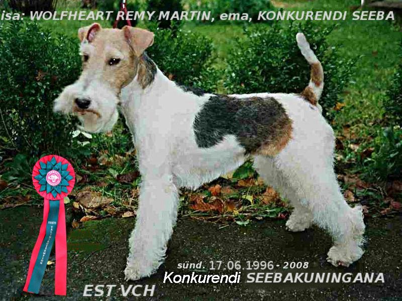 Seebakuninganna