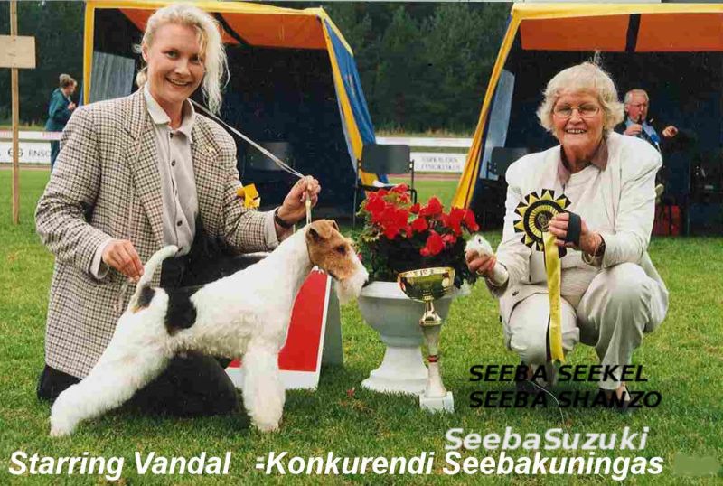 Vandal