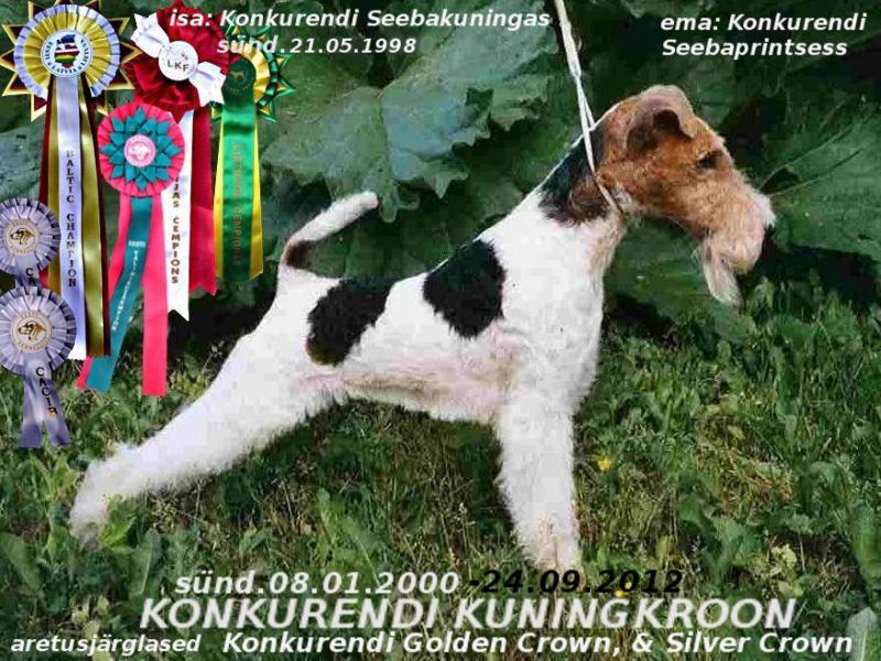 Kuningkroon