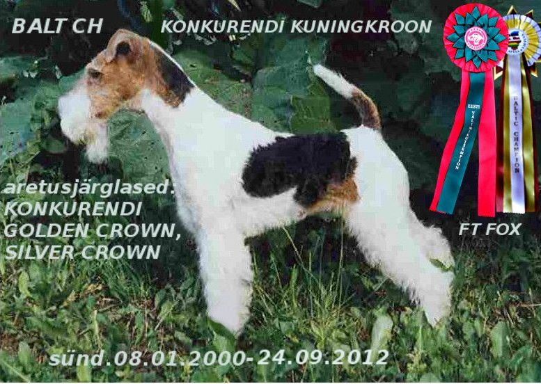 Kuningkroon