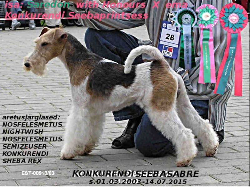 Seebasabre