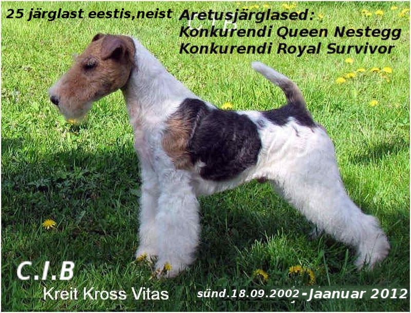 Kreit-Kross-Vitas