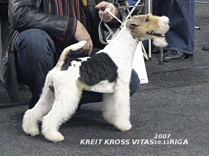 Kreit-Kross-Vitas