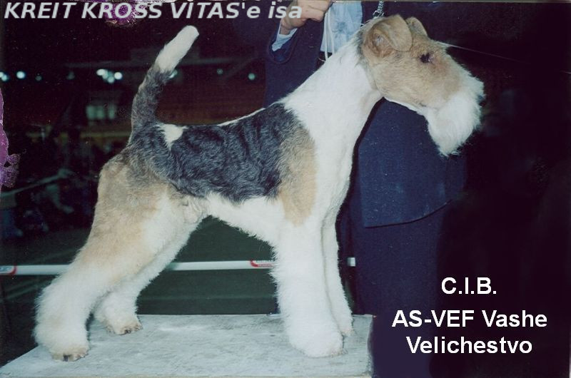 AS-VEF-Vashe-Velichestvo