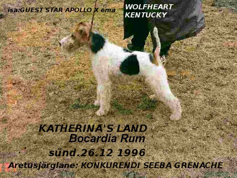 Katerinas Land