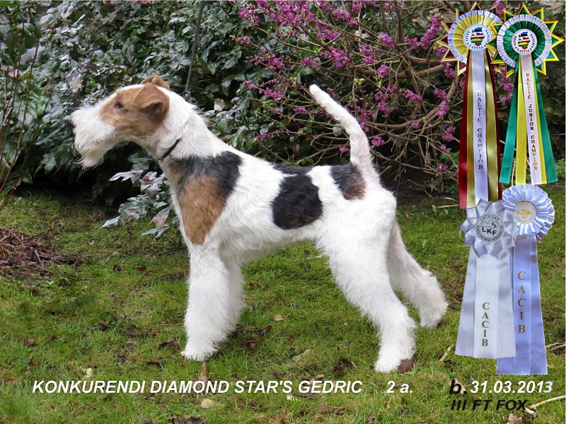 Cedric
