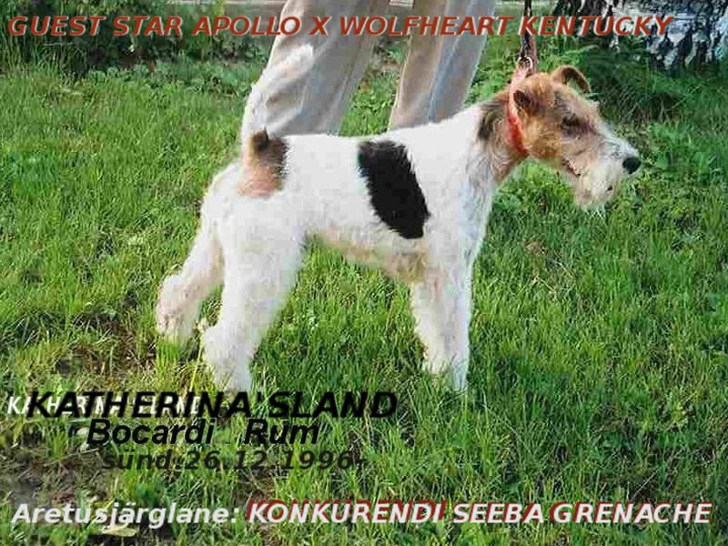Katerinas Land