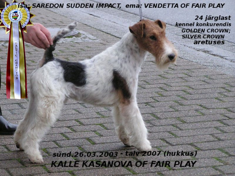 Kalle-Casanova