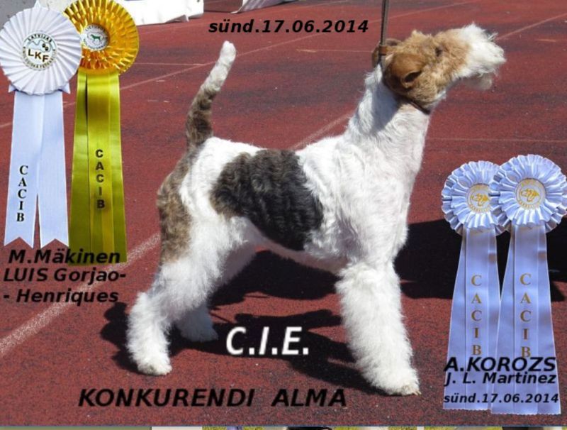 Alma