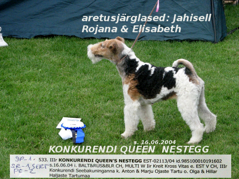 Nestegg