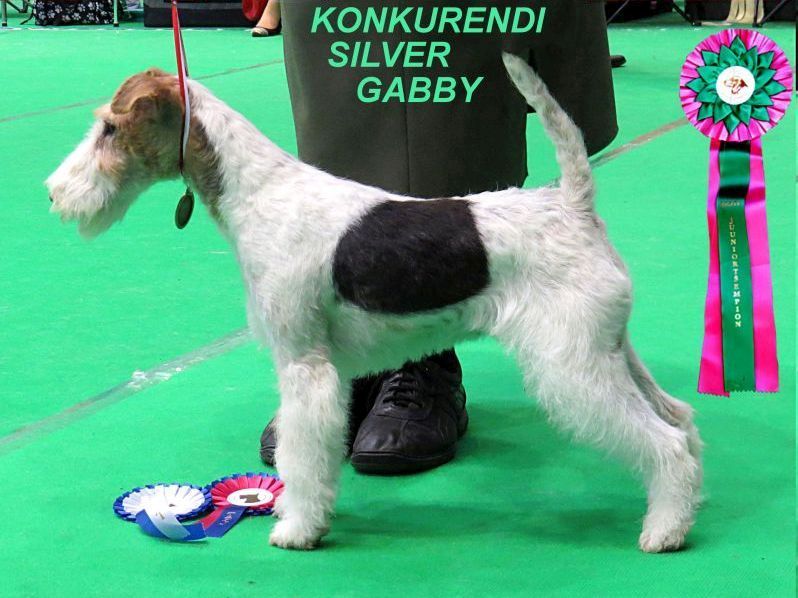Gabby