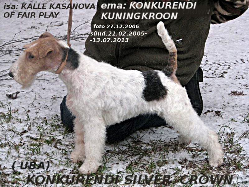 Silver-Crown
