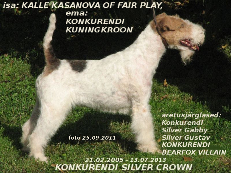 Silver-Crown
