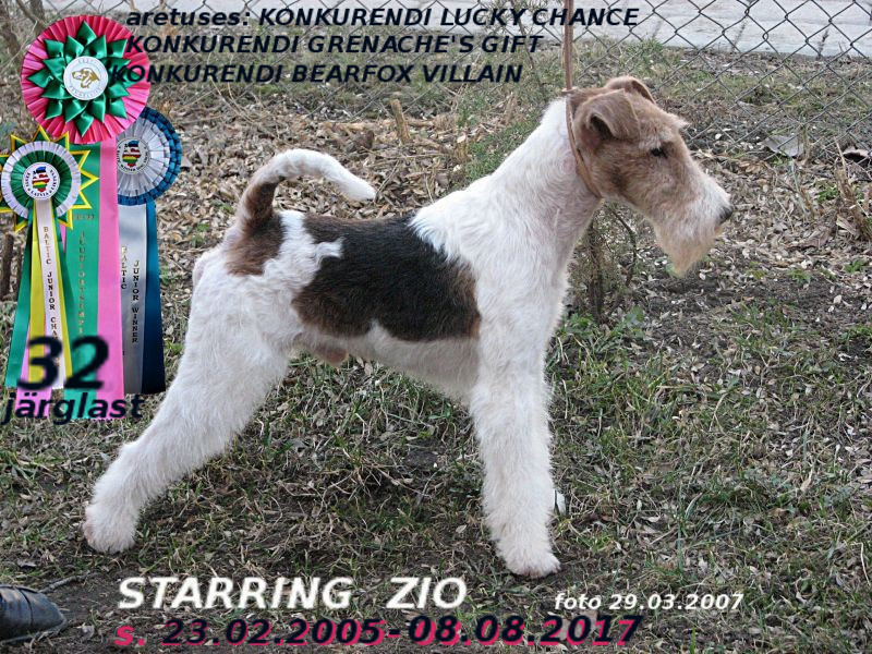 Starring-Zio