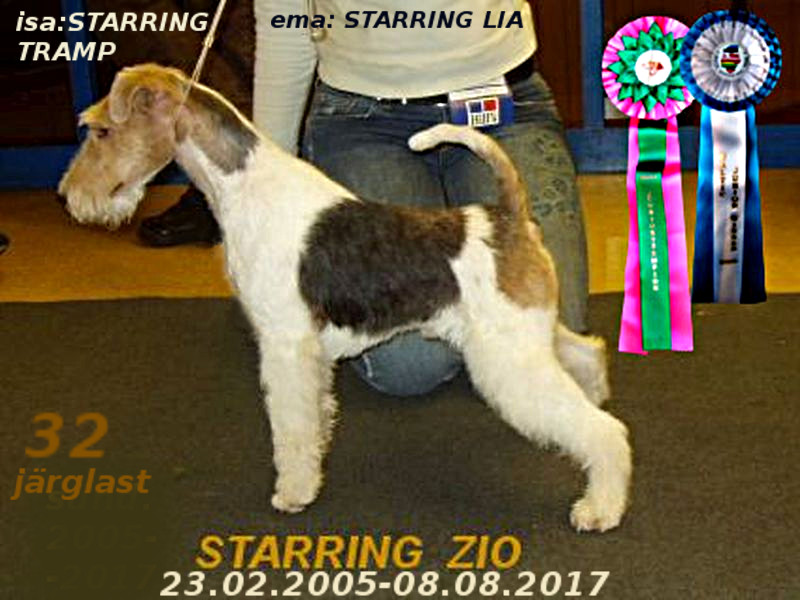 Starring-Zio