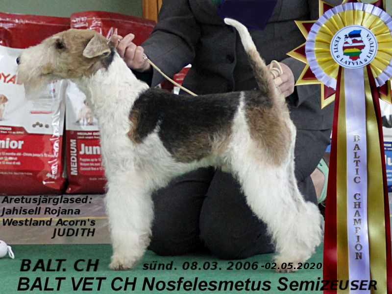 Semizeuzer