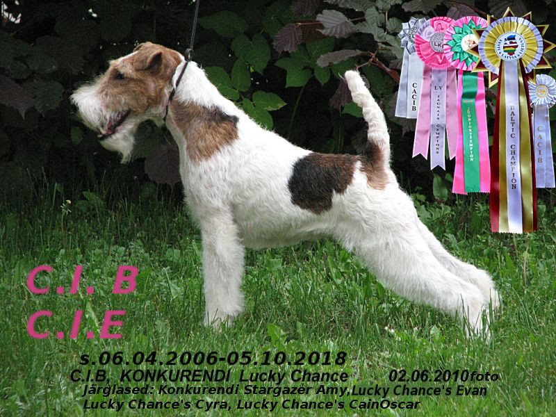 Konkurendi Lucky Chance