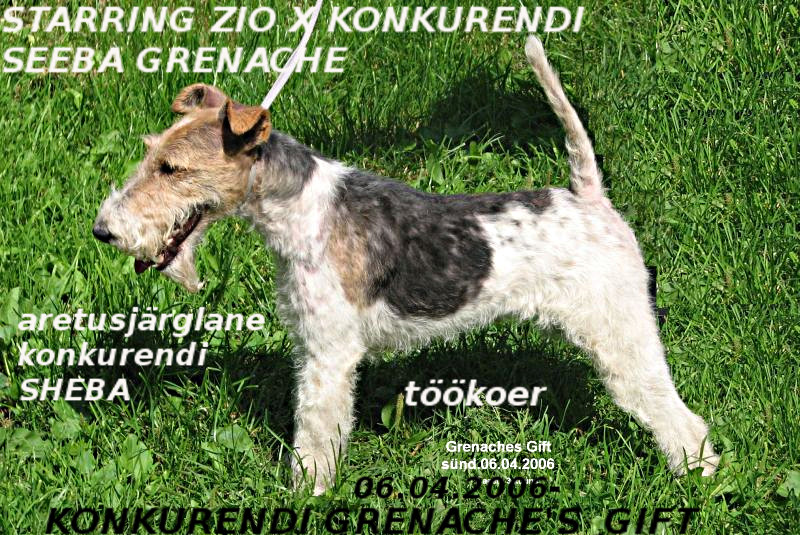 Konkurendi Grance Gift