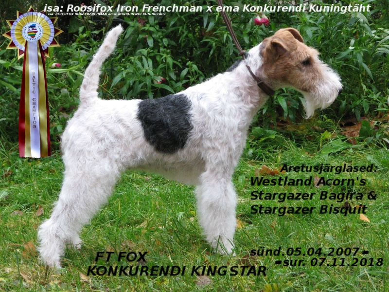 Konkurendi Kingstar