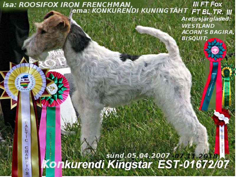 Konkurendi Kingstar