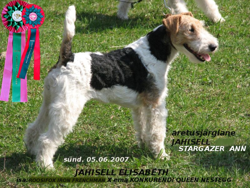 Jahisell Elisabeth