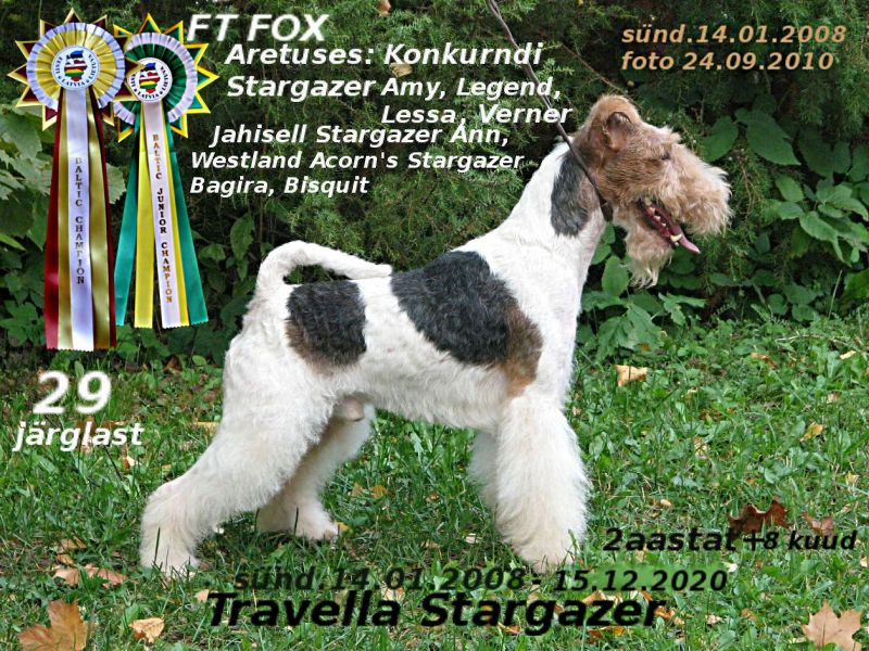 Travella Stargazer