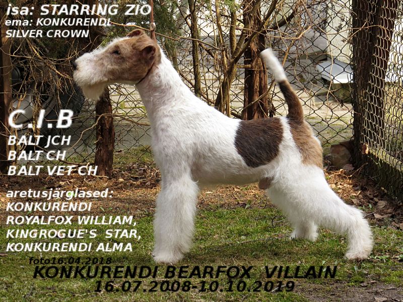 Konkurendi Bearfox Villain