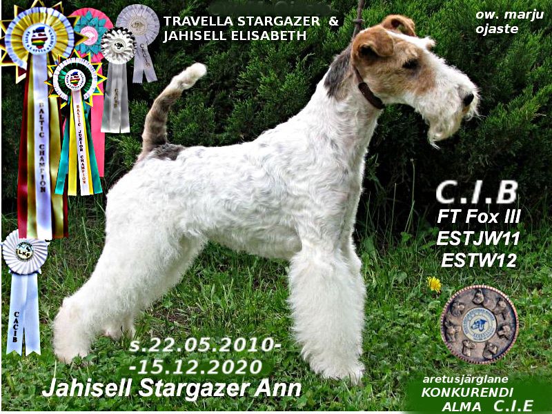 Jahisell Stargazer Ann