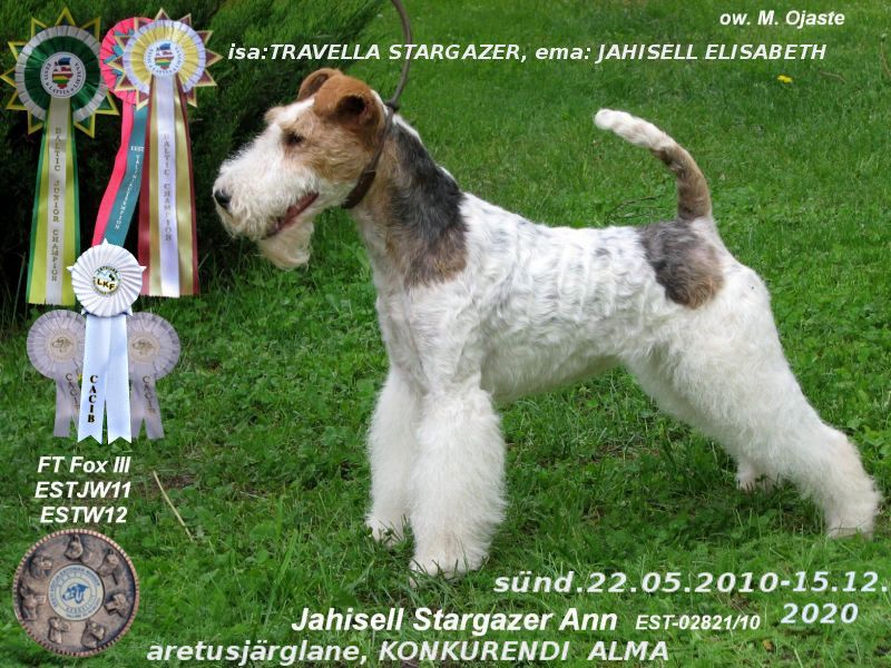 Jahisell Stargazer Ann