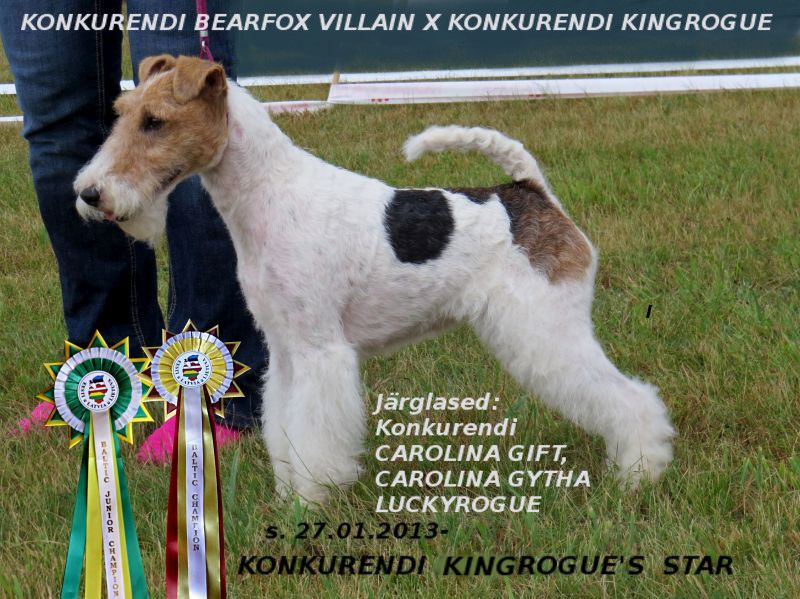 Konkurendi Kingrogue Star