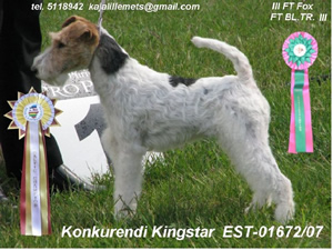 ema Kingstar