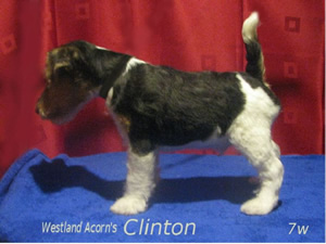 Clinton
