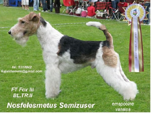 Semizeuser
