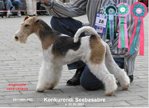 Seebasabre
