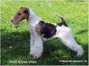 Keit Kross Vitas