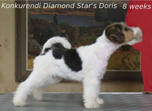 Doris