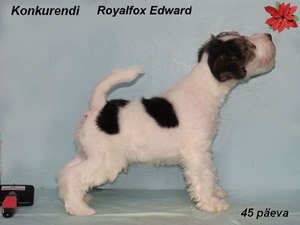 Edward