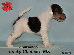 Elza