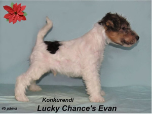 Evan