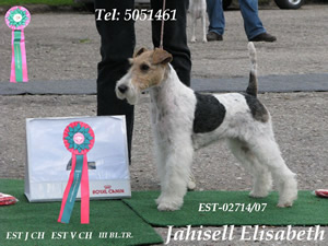 Jahisell