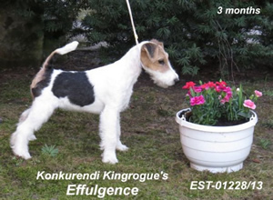 Effulgence