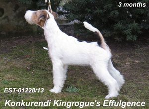 Effulgence