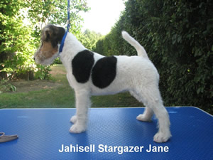jane