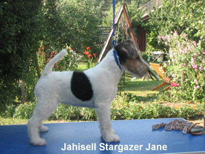 jane
