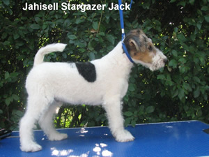 jack
