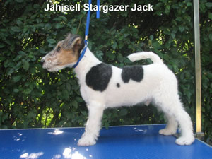 jack