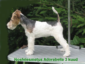 Adorabella