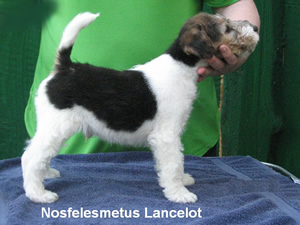 Lancelot